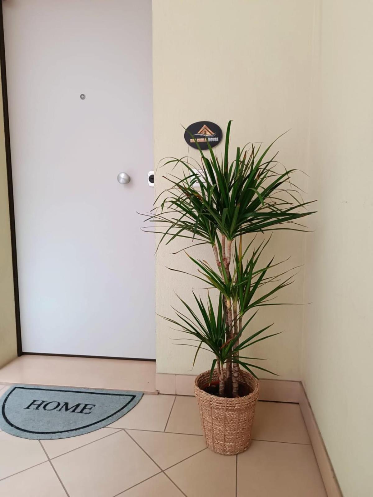 San Carlo House Διαμέρισμα Castel Guelfo Di Bologna Εξωτερικό φωτογραφία